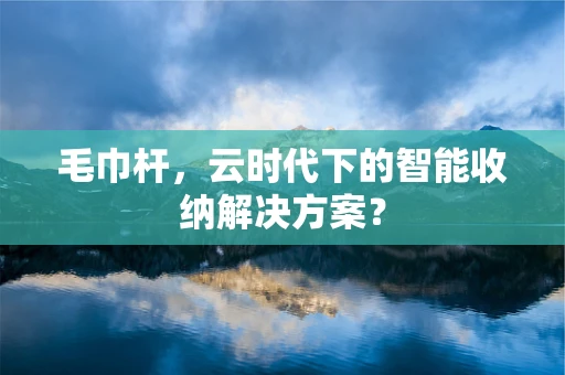 毛巾杆，云时代下的智能收纳解决方案？