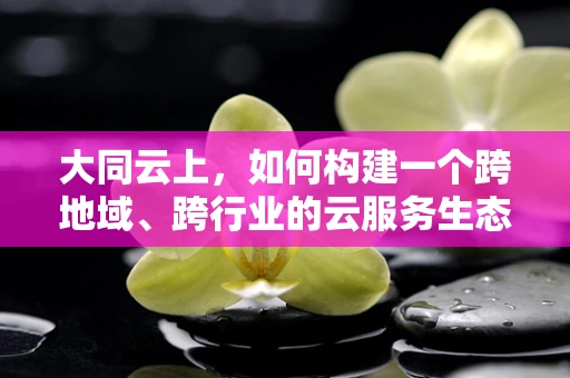大同云上，如何构建一个跨地域、跨行业的云服务生态？