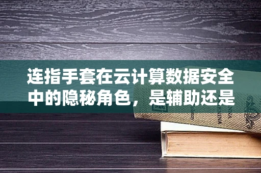 连指手套在云计算数据安全中的隐秘角色，是辅助还是必需？