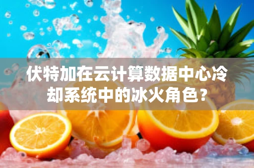 伏特加在云计算数据中心冷却系统中的冰火角色？
