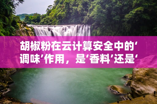 胡椒粉在云计算安全中的‘调味’作用，是‘香料’还是‘隐患’？