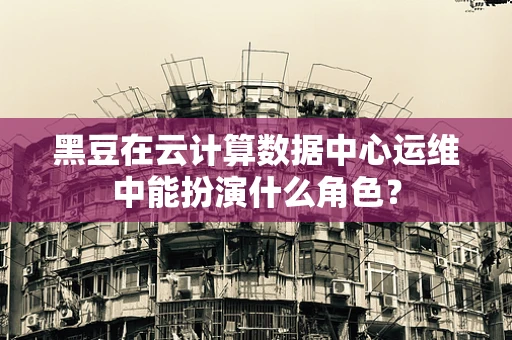 黑豆在云计算数据中心运维中能扮演什么角色？