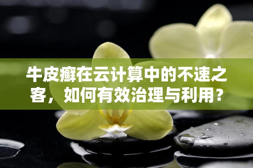 牛皮癣在云计算中的不速之客，如何有效治理与利用？