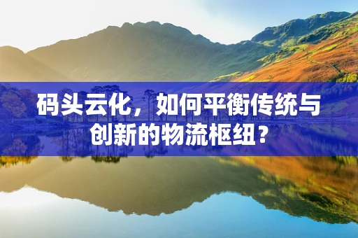 码头云化，如何平衡传统与创新的物流枢纽？