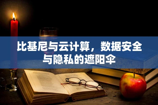比基尼与云计算，数据安全与隐私的遮阳伞