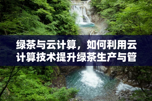 绿茶与云计算，如何利用云计算技术提升绿茶生产与管理的智能化水平？