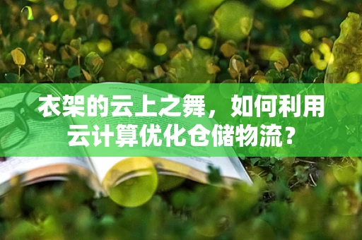 衣架的云上之舞，如何利用云计算优化仓储物流？