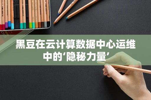 黑豆在云计算数据中心运维中的‘隐秘力量’