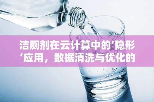 洁厕剂在云计算中的‘隐形’应用，数据清洗与优化的新视角？