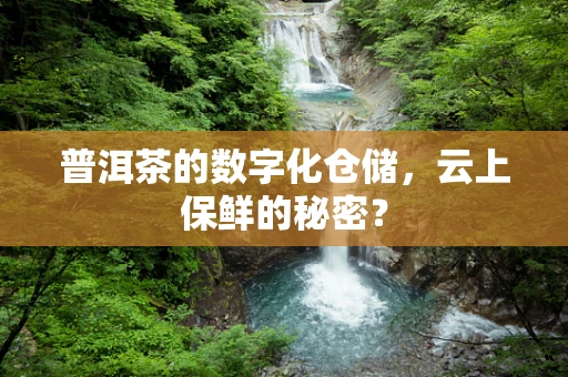 普洱茶的数字化仓储，云上保鲜的秘密？