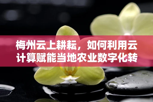 梅州云上耕耘，如何利用云计算赋能当地农业数字化转型？