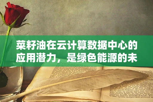 菜籽油在云计算数据中心的应用潜力，是绿色能源的未来吗？