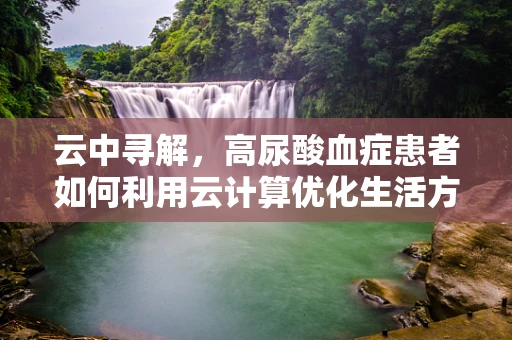云中寻解，高尿酸血症患者如何利用云计算优化生活方式？