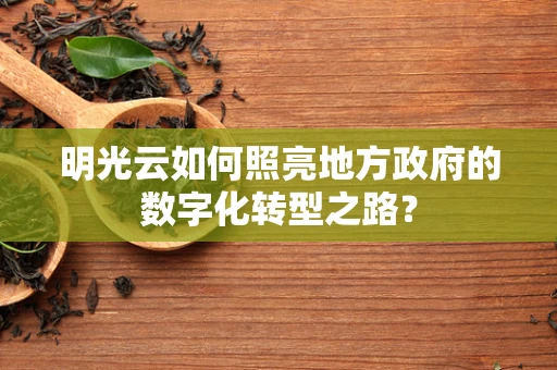 明光云如何照亮地方政府的数字化转型之路？