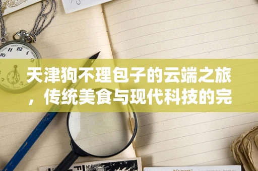 天津狗不理包子的云端之旅，传统美食与现代科技的完美融合