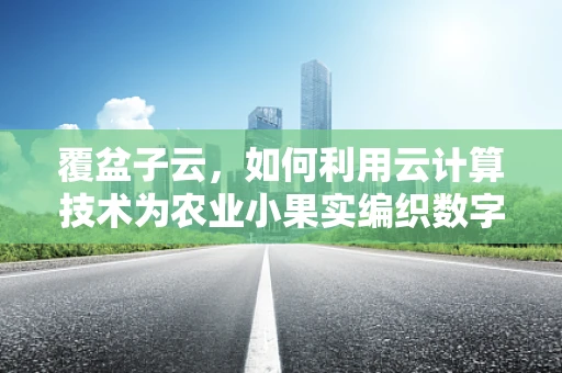 覆盆子云，如何利用云计算技术为农业小果实编织数字新篇章？