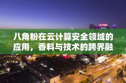 八角粉在云计算安全领域的应用，香料与技术的跨界融合？