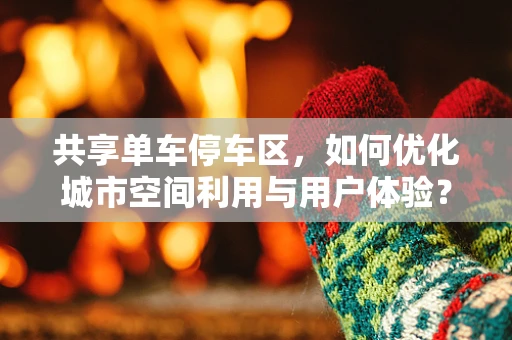 共享单车停车区，如何优化城市空间利用与用户体验？
