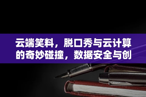 云端笑料，脱口秀与云计算的奇妙碰撞，数据安全与创意自由如何共舞？