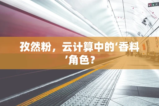 孜然粉，云计算中的‘香料’角色？