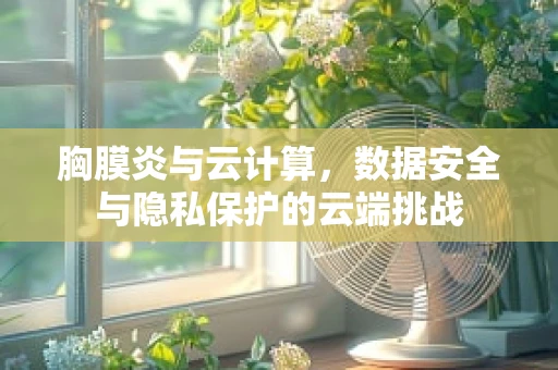 胸膜炎与云计算，数据安全与隐私保护的云端挑战