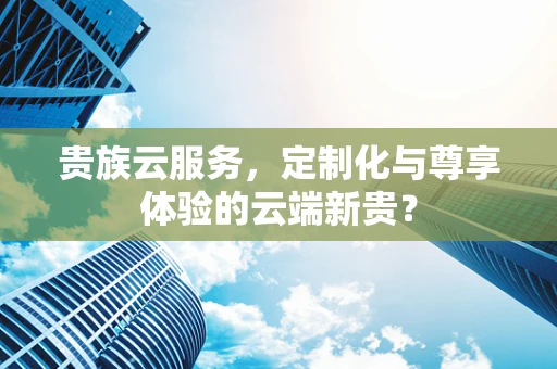 贵族云服务，定制化与尊享体验的云端新贵？