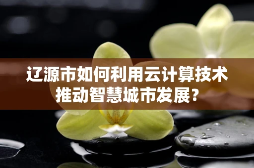 辽源市如何利用云计算技术推动智慧城市发展？
