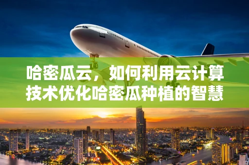 哈密瓜云，如何利用云计算技术优化哈密瓜种植的智慧农业解决方案？